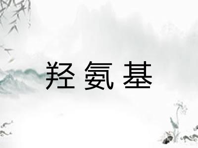 羟氨基 羟氨基