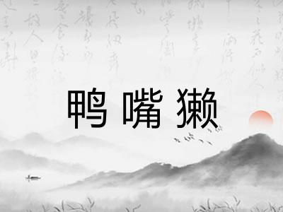 鸭嘴獭 鸭嘴獭