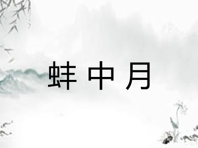 蚌中月