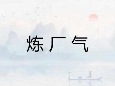 炼厂气 炼厂气