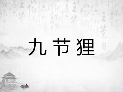 九节狸 九节狸