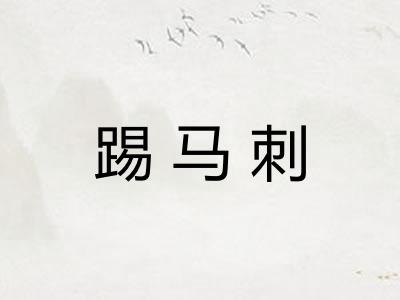 踢马刺
