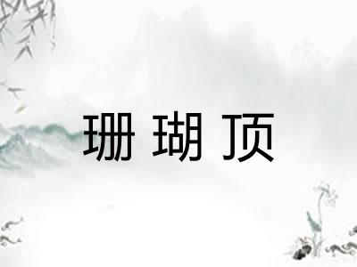 珊瑚顶 珊瑚顶