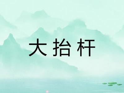 大抬杆