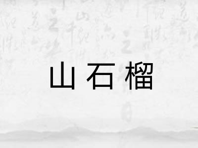 山石榴 山石榴