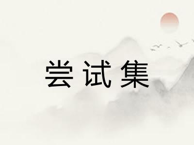 尝试集 尝试集
