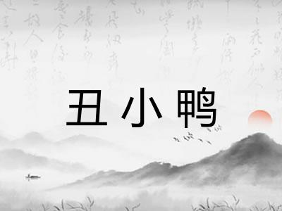 丑小鸭