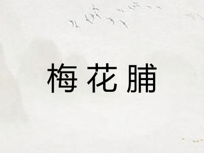 梅花脯 梅花脯