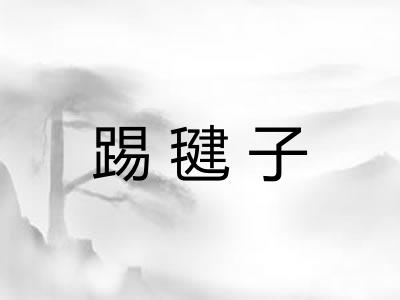 踢毽子 踢毽子