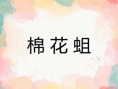 棉花蛆