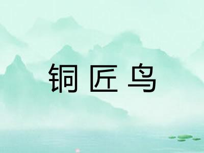 铜匠鸟 铜匠鸟