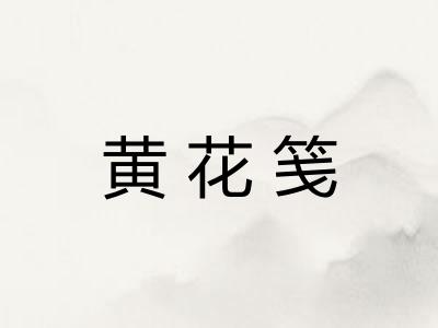 黄花笺 黄花笺