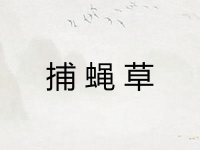 捕蝇草 捕蝇草