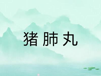 猪肺丸 猪肺丸