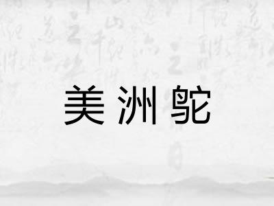 美洲鸵 美洲鸵