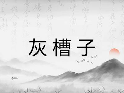 灰槽子