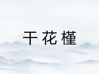 干花槿 干花槿