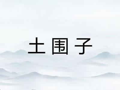 土围子 土围子