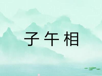 子午相 子午相