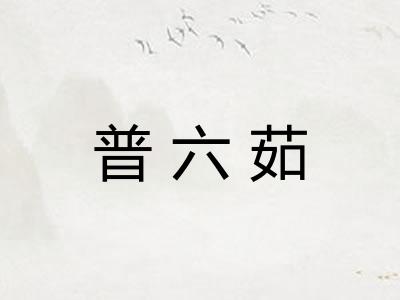 普六茹