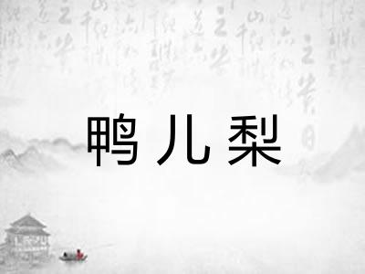 鸭儿梨 鸭儿梨