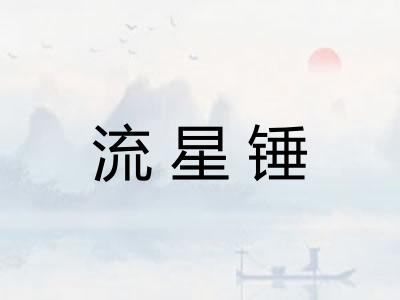流星锤 流星锤