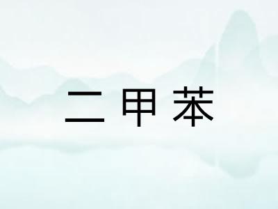 二甲苯 二甲苯