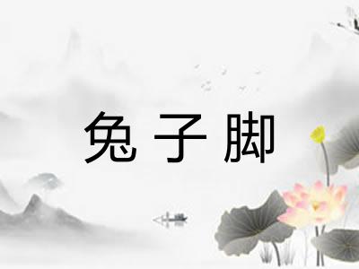 兔子脚 兔子脚