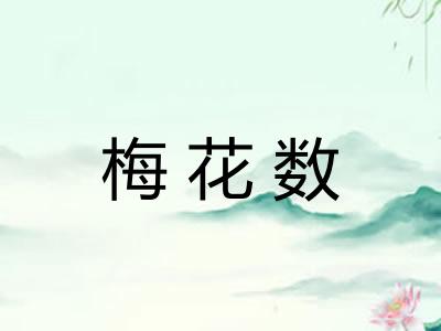 梅花数