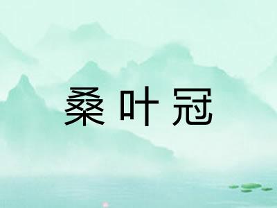 桑叶冠 桑叶冠
