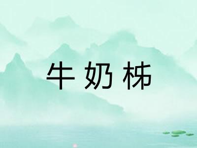 牛奶柹 牛奶柹