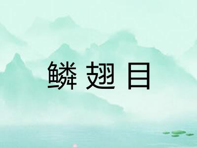 鳞翅目
