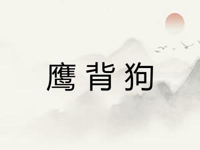 鹰背狗 鹰背狗