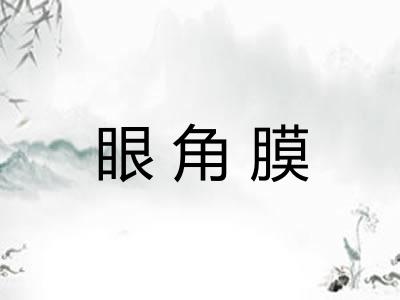 眼角膜 眼角膜