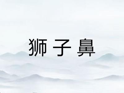 狮子鼻 狮子鼻
