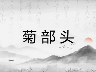 菊部头 菊部头