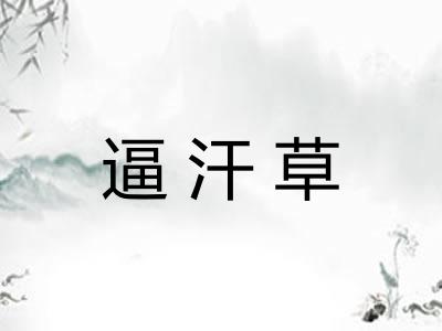 逼汗草 逼汗草