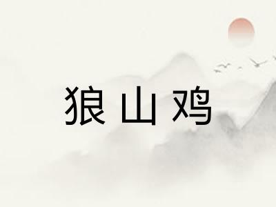 狼山鸡 狼山鸡