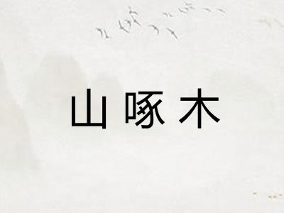 山啄木 山啄木