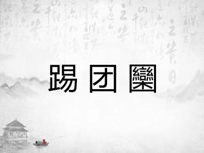 踢团圞