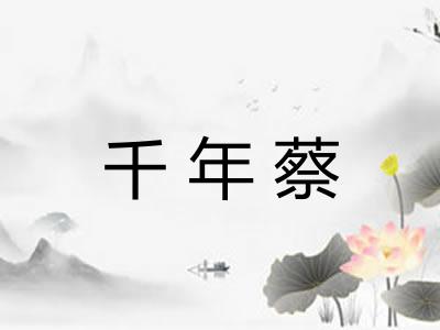 千年蔡 千年蔡