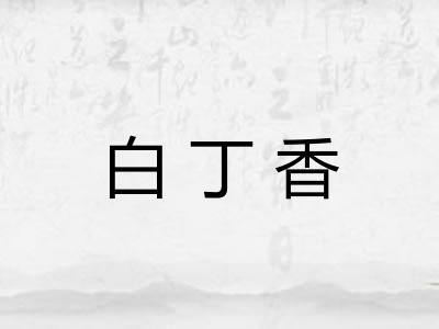 白丁香