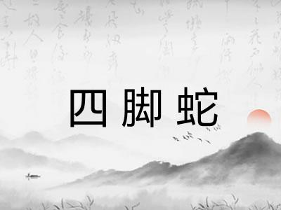 四脚蛇 四脚蛇
