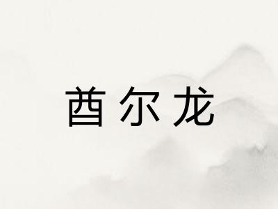 酋尔龙 酋尔龙