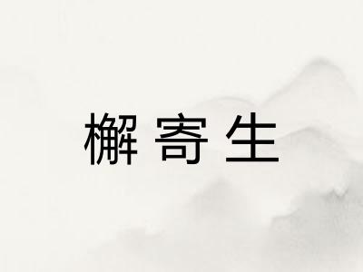 檞寄生 檞寄生