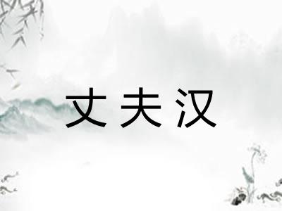 丈夫汉 丈夫汉