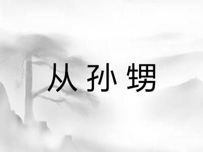 从孙甥 从孙甥