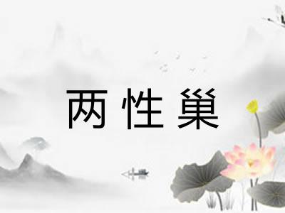 两性巢 两性巢