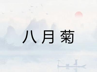 八月菊 八月菊
