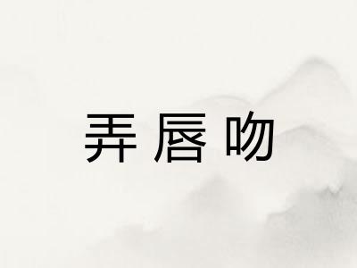 弄唇吻 弄唇吻